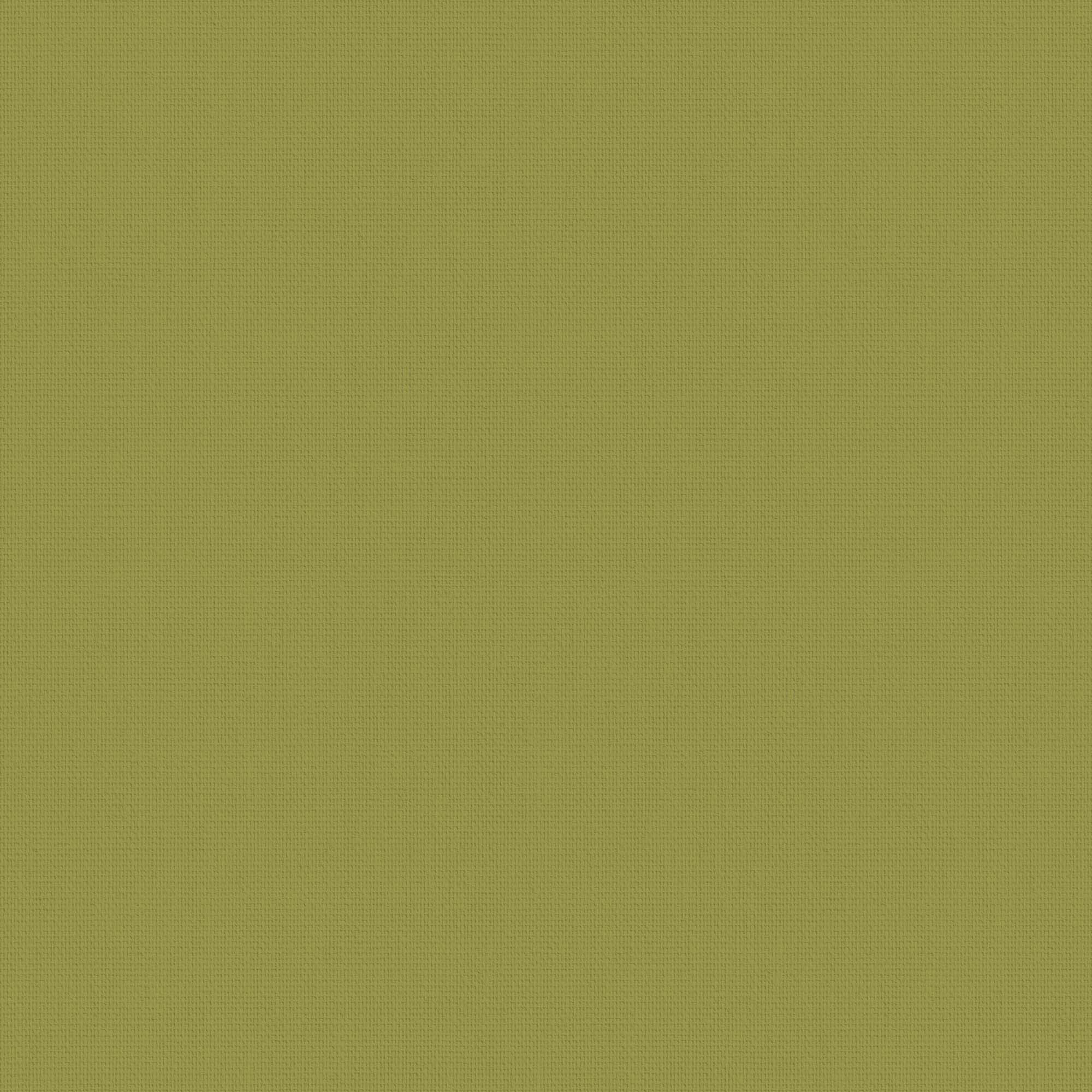 Splash Vine - Image 2