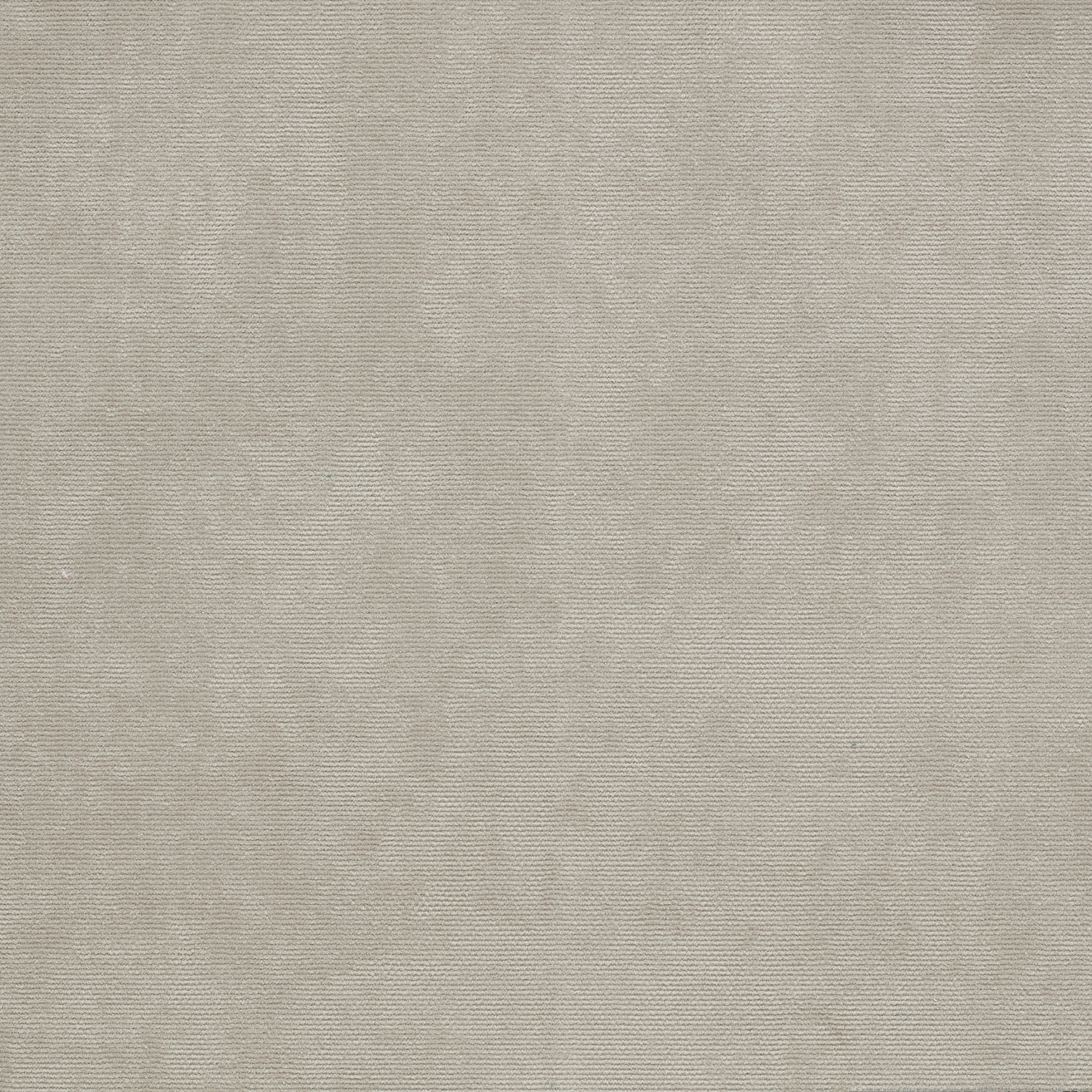 Image for choice number 313